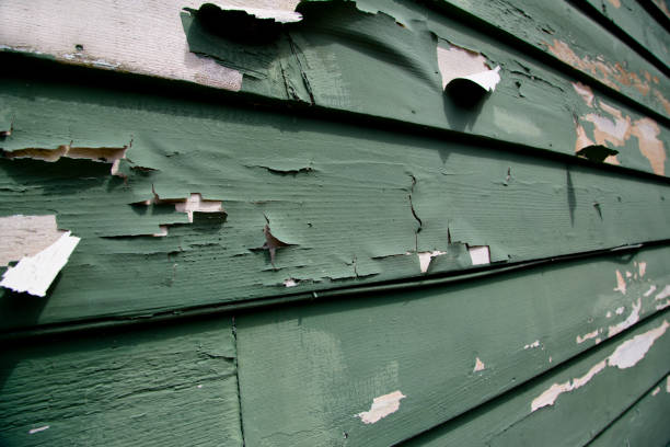 Best Storm Damage Siding Repair  in Horse Pasture, VA