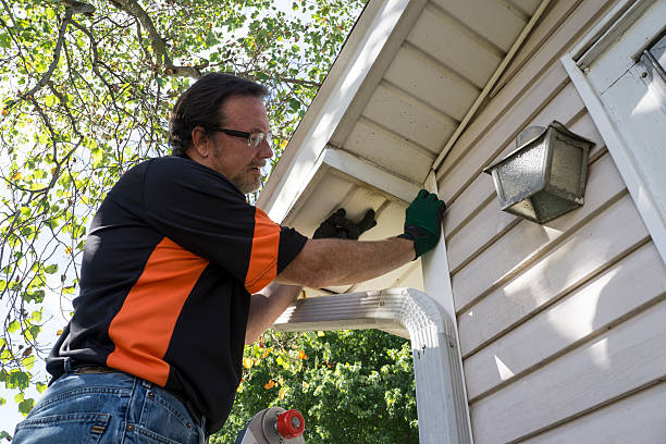 Best Historical Building Siding Restoration  in Horse Pasture, VA